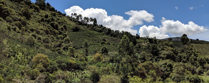 La Familia Guarnizo Colombia