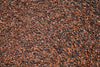 Ivory Coast. Cocoa drying.